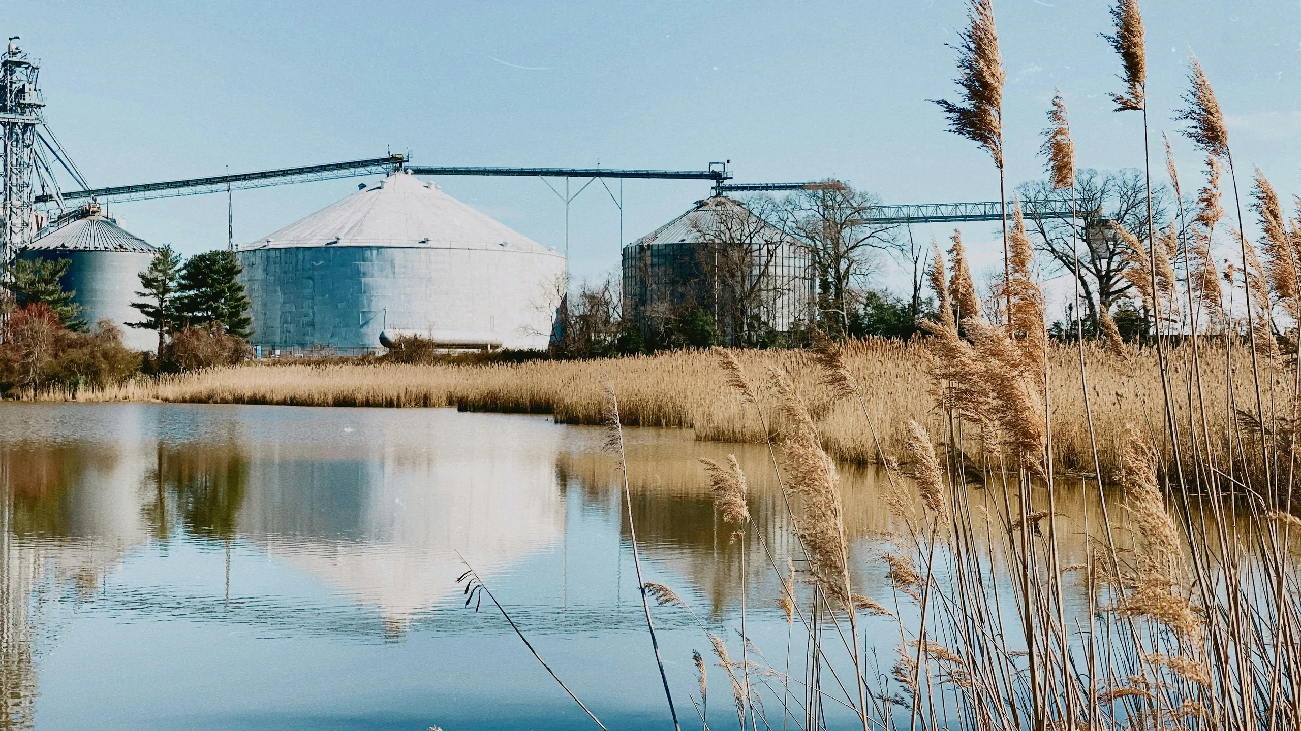 Run the Vineyards - Wind Vineyards 5K 2025