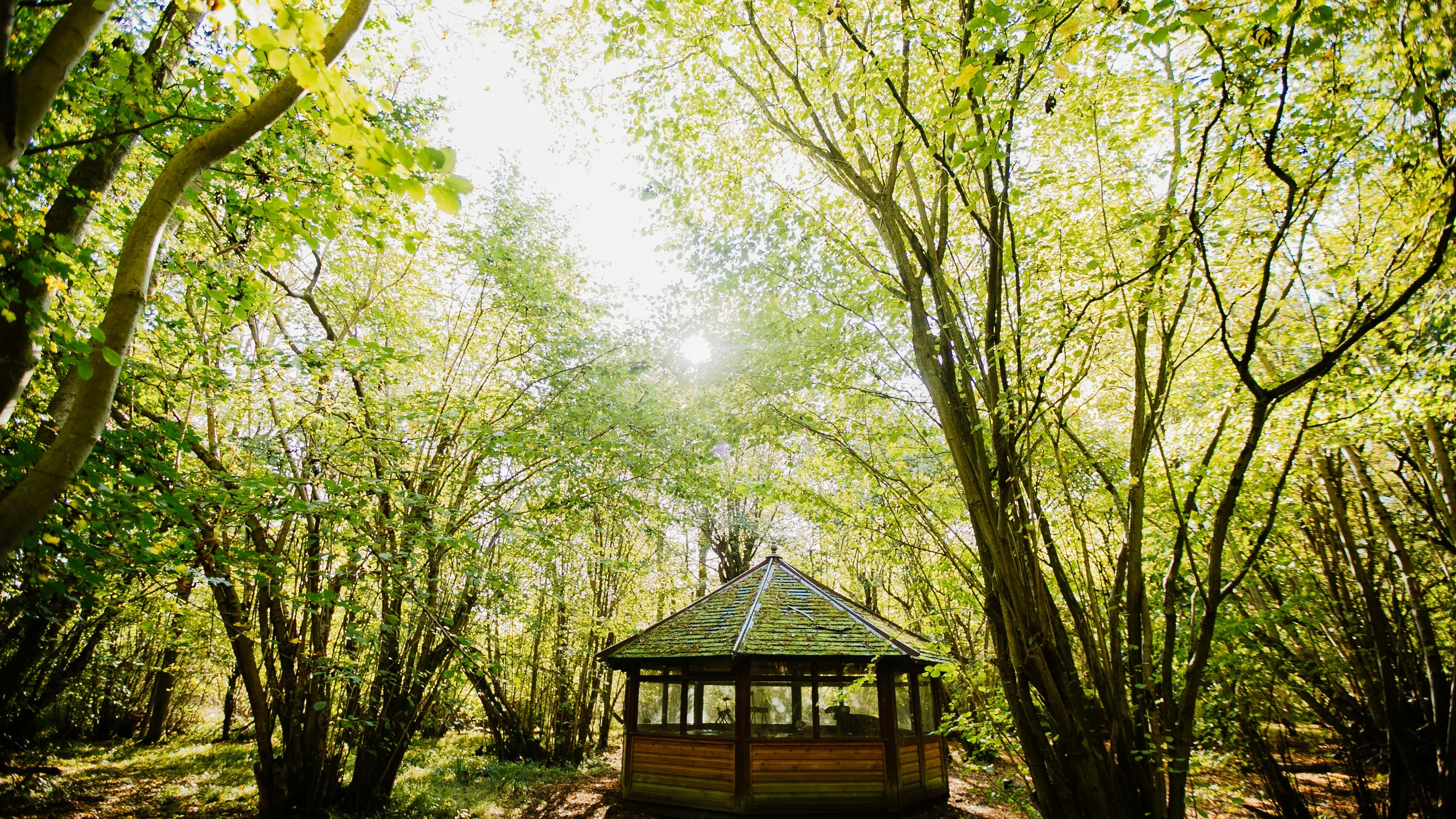 Ely Tri Club Runfest