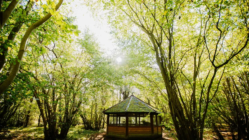 Ely Tri Club Runfest