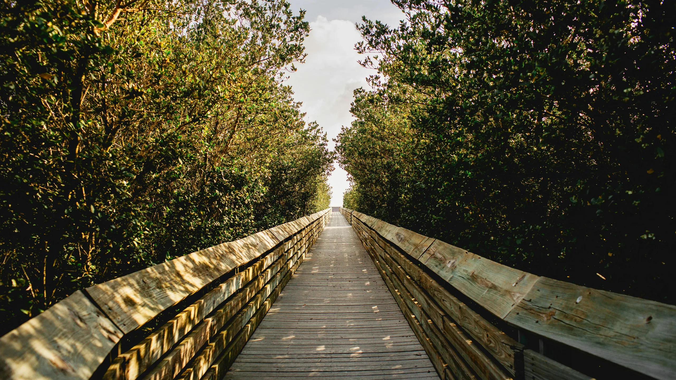 2025 South Padre Island Half Marathon Weekend