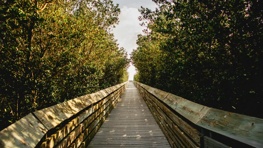 2025 South Padre Island Half Marathon Weekend