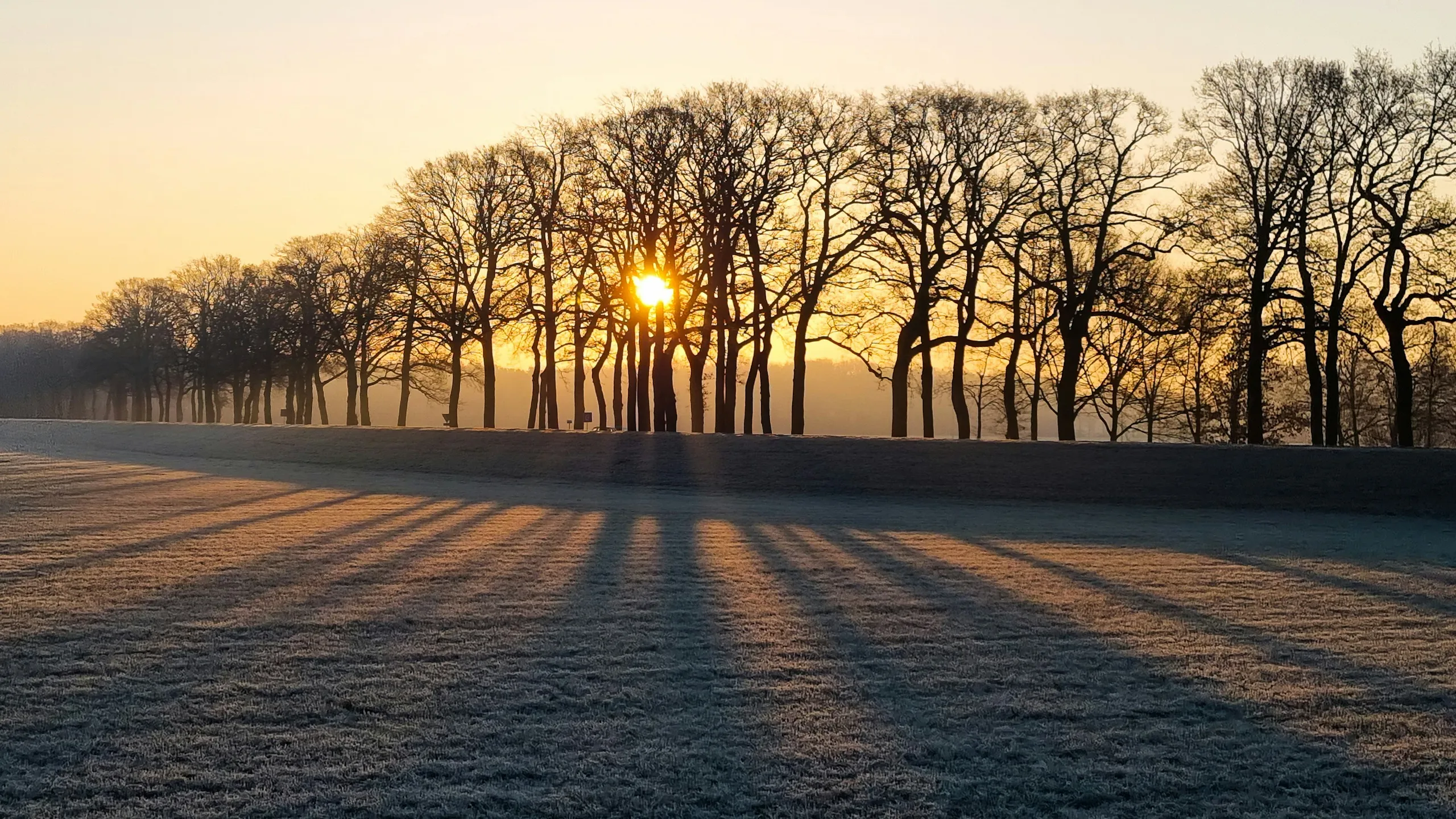PLINQ Loopfestijn Dalfsen