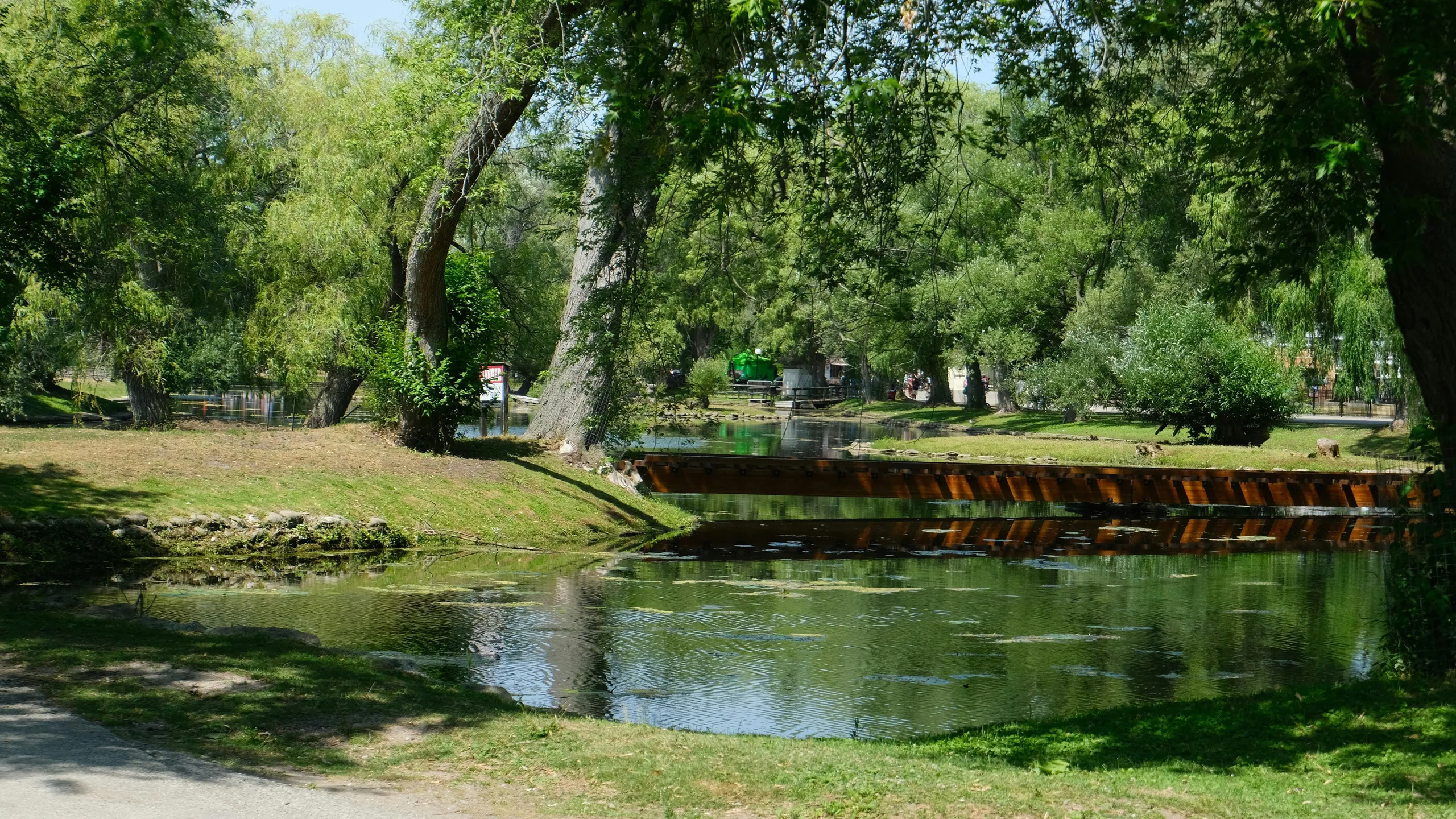 Toronto Marathon, Half Marathon, 10K & 5K