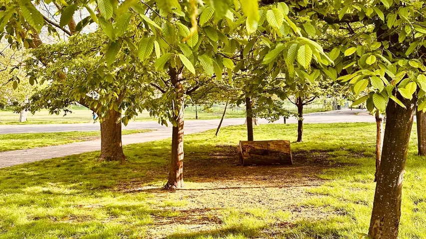 Finsbury Park 5K, 10K, Half Marathon & Junior June 2025
