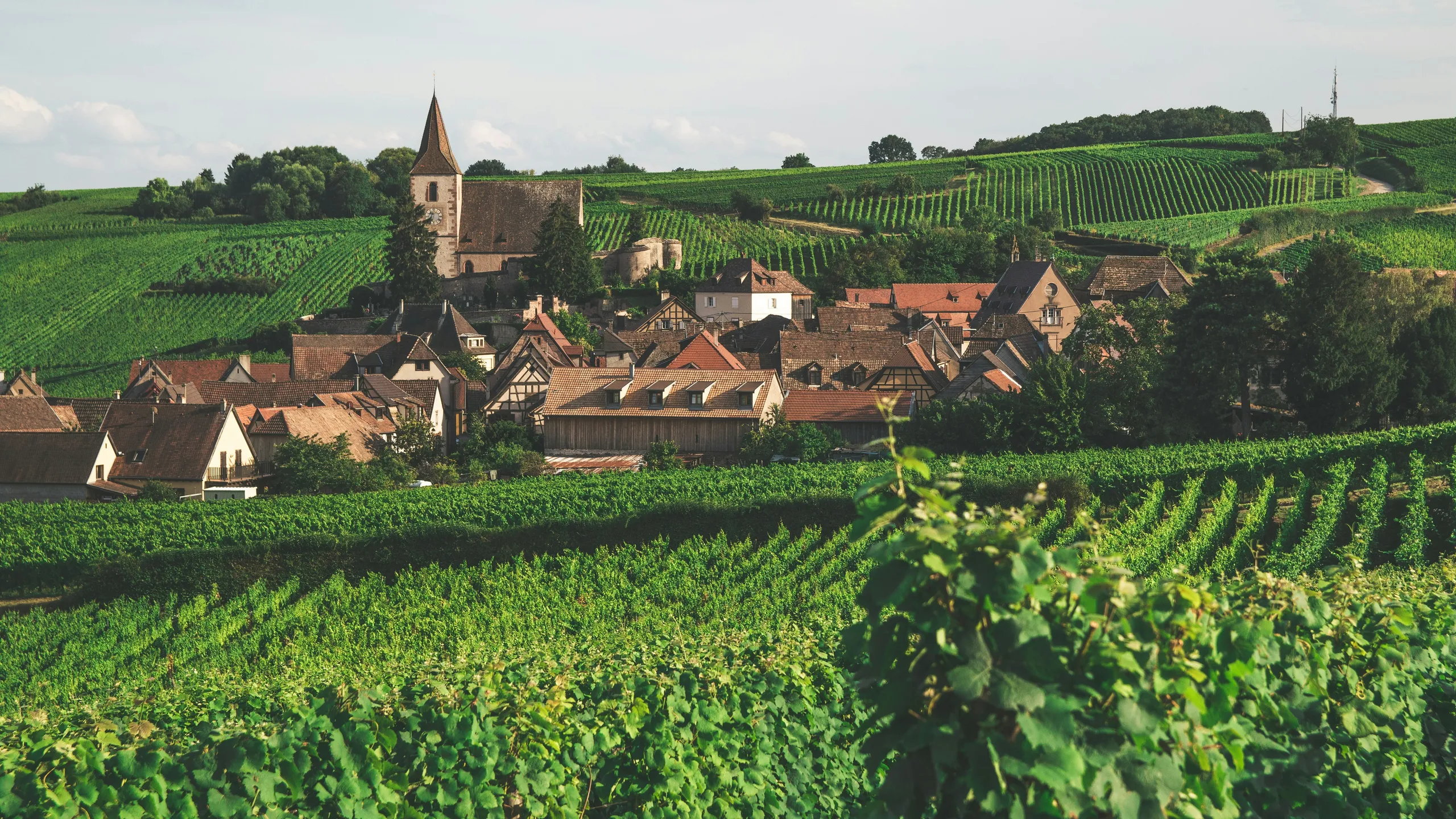 Trail Alsace by UTMB