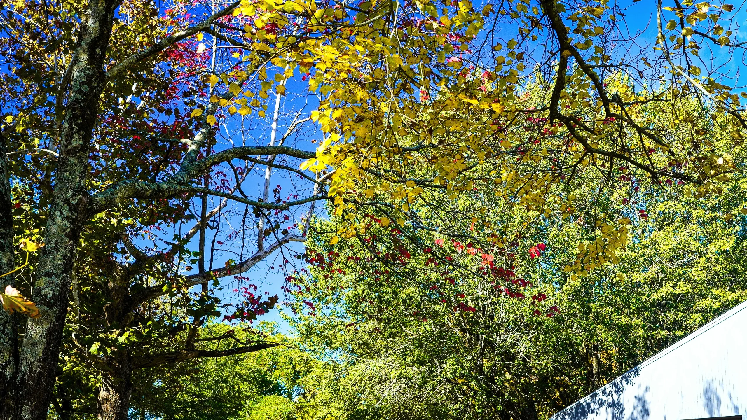 Possum Trot 10K & 1 mile Fun Run