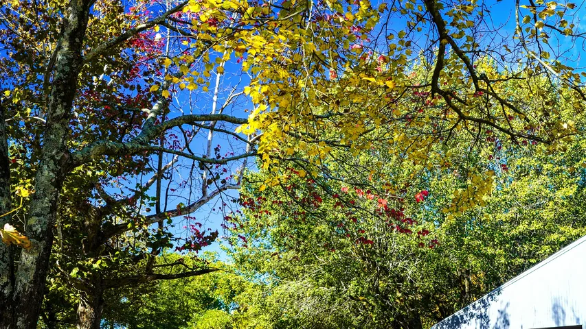 Possum Trot 10K & 1 mile Fun Run