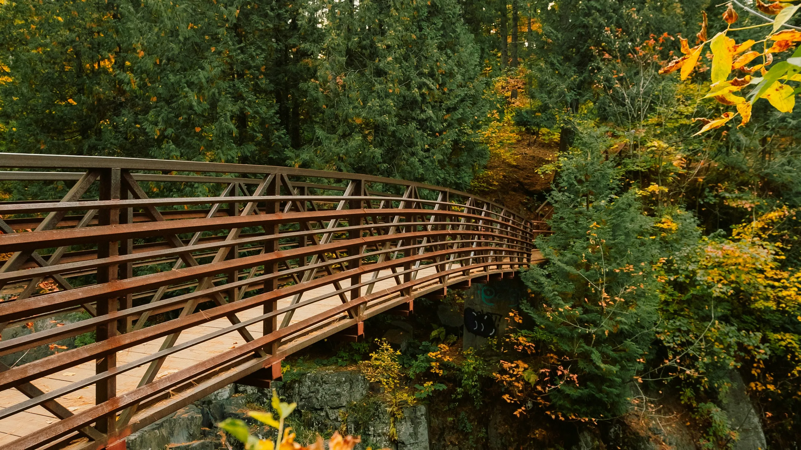 Hot Cider Hustle Rochester 2025