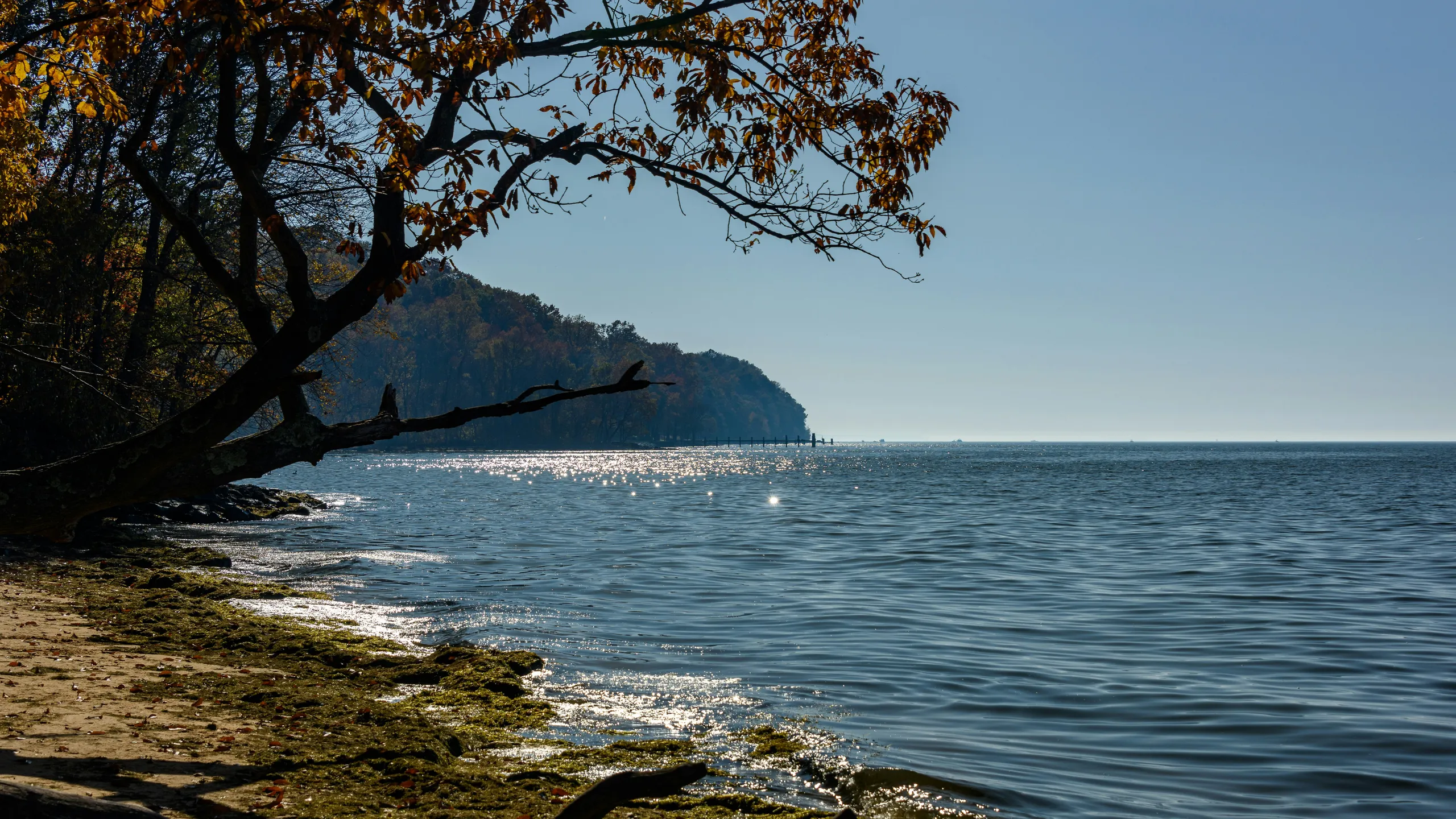 Lighthouse Lookout 5k & 10k