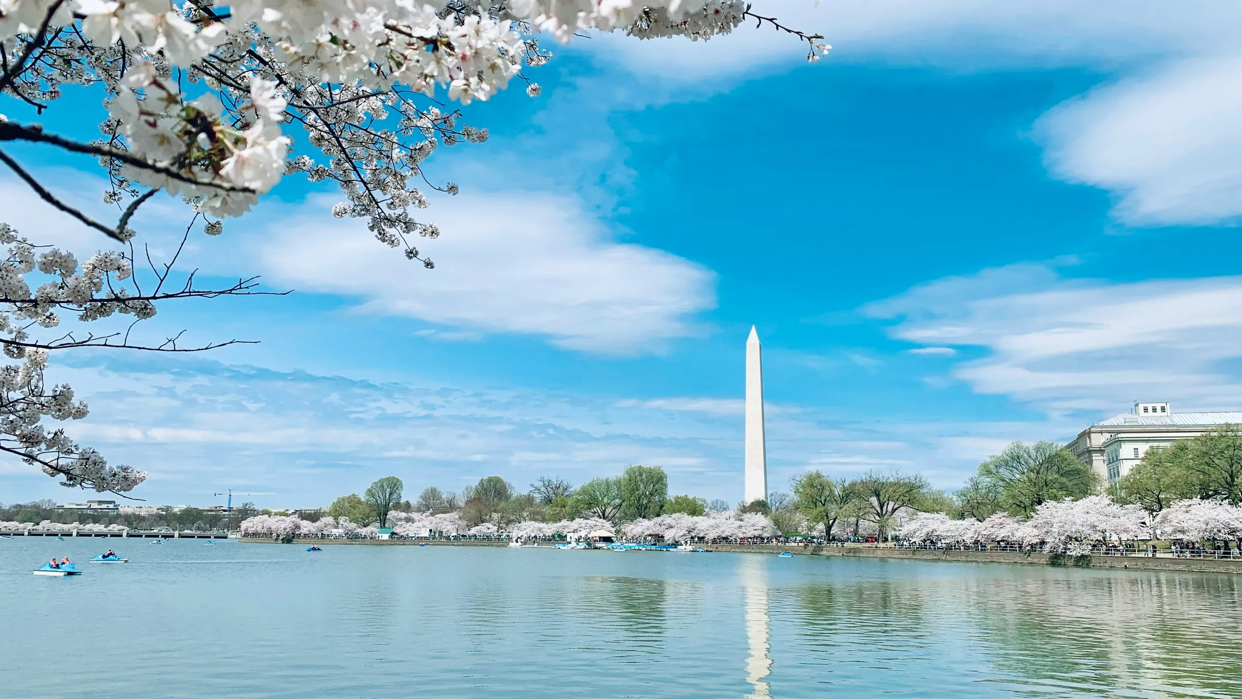 DC Fall Classic 5K & Half