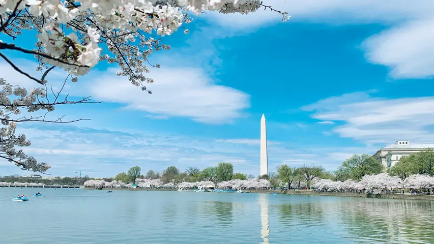 DC Fall Classic 5K & Half
