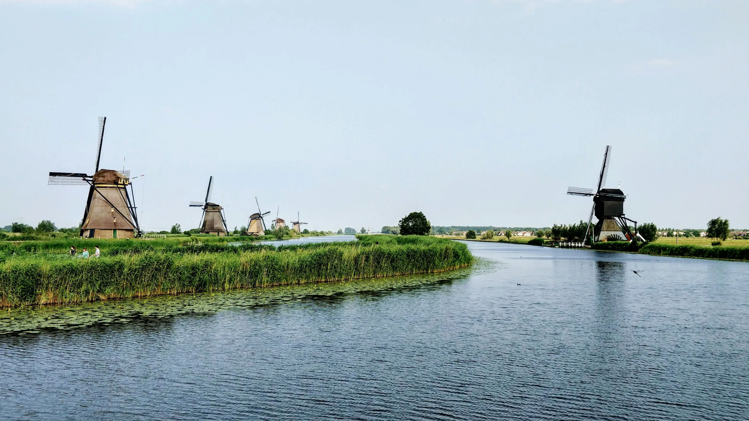 Molenloop Alblasserdam