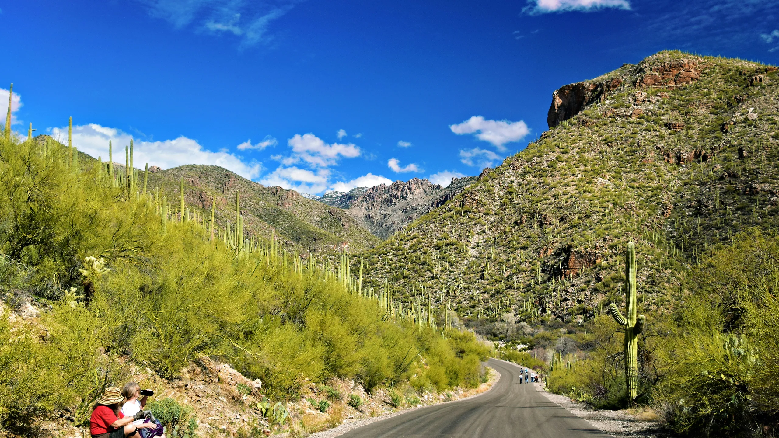 TMC A-Mountain Half Marathon, Four-Miler, and SAR FitKidz Mile, and Family Mile