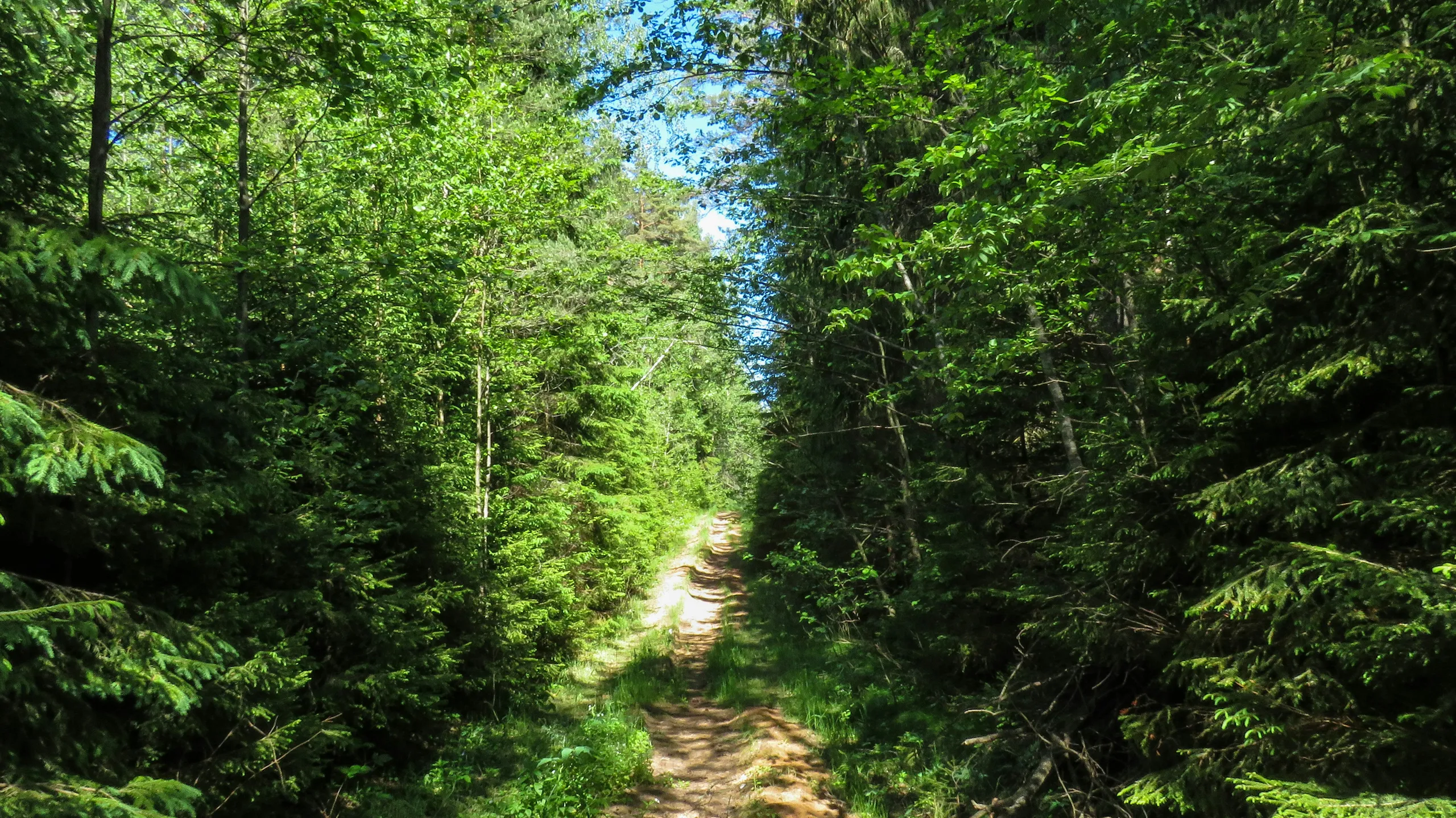 Québec Mega Trail