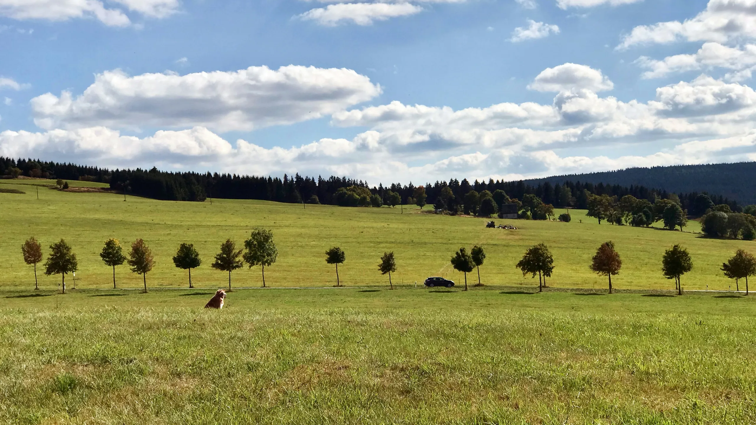 Drei Talsperren Marathon