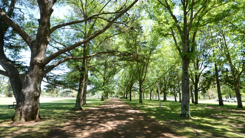 Stromlo Running Festival