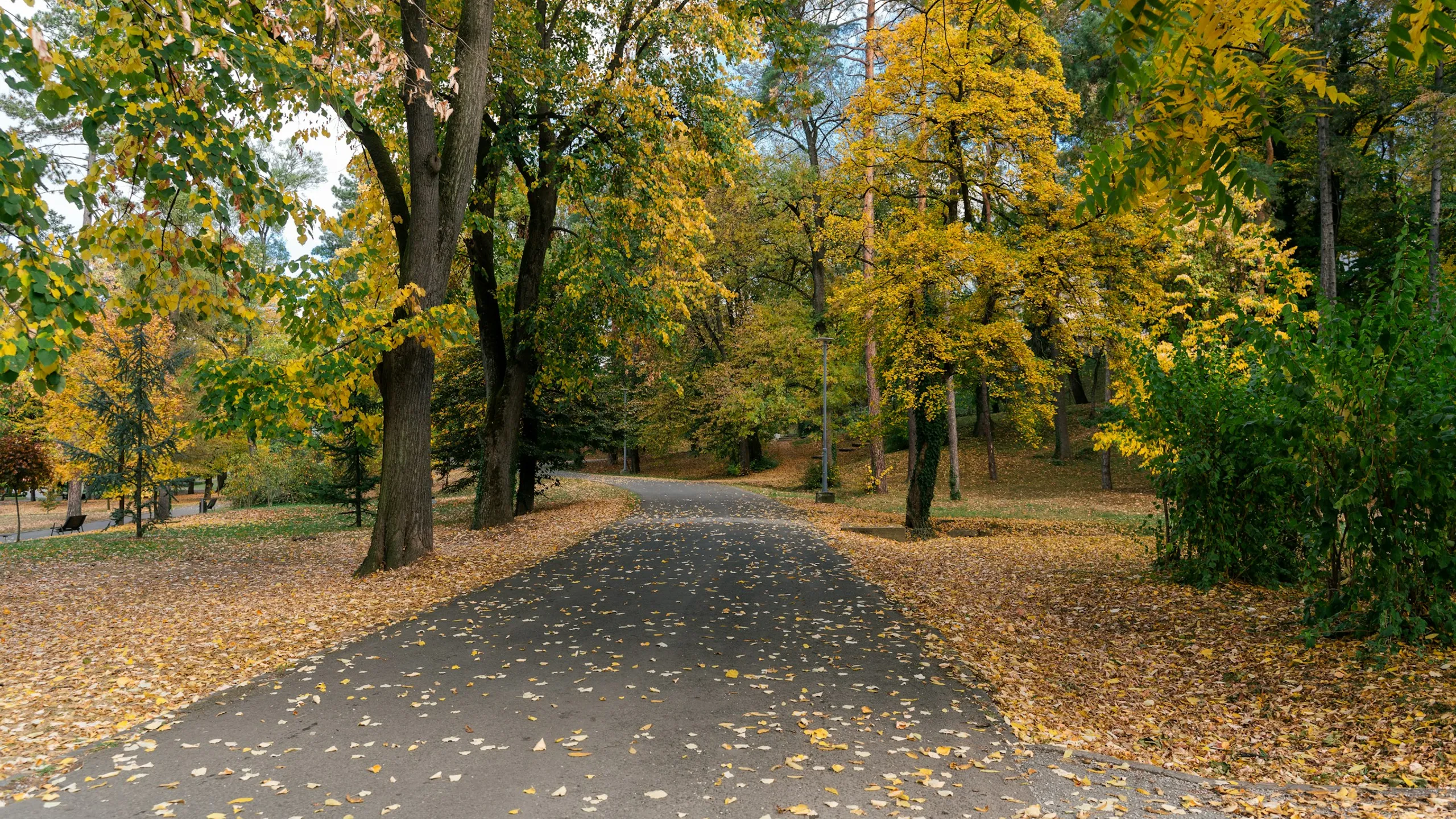 Battersea Park Half Marathon November 2025
