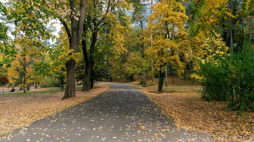 Battersea Park Half Marathon November 2025