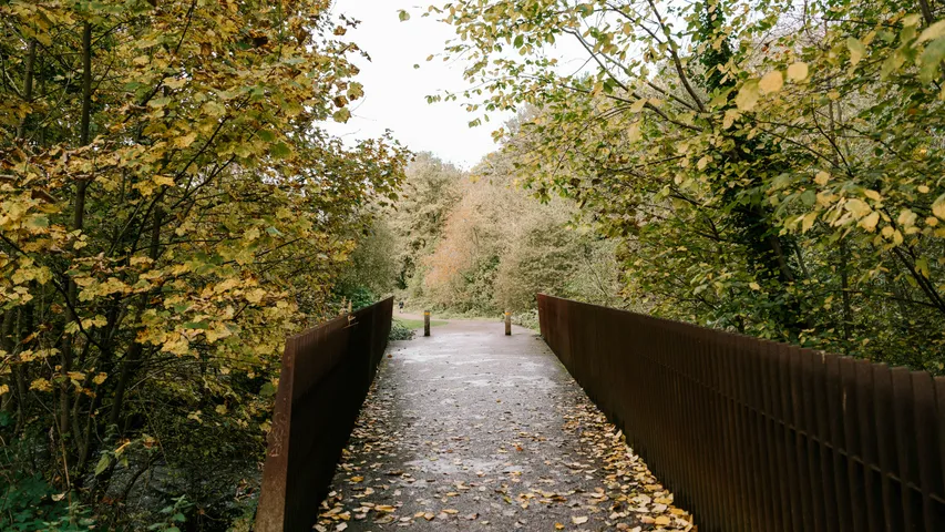 Chelmsford CM HALF|10K|5K