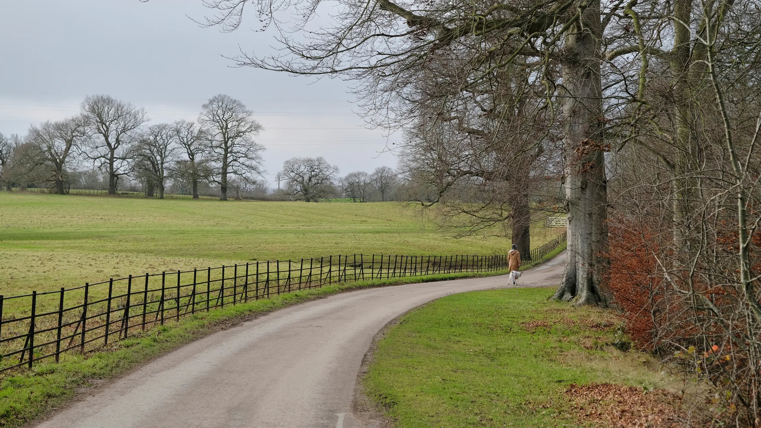 Village Bakery Wrexham Half Marathon