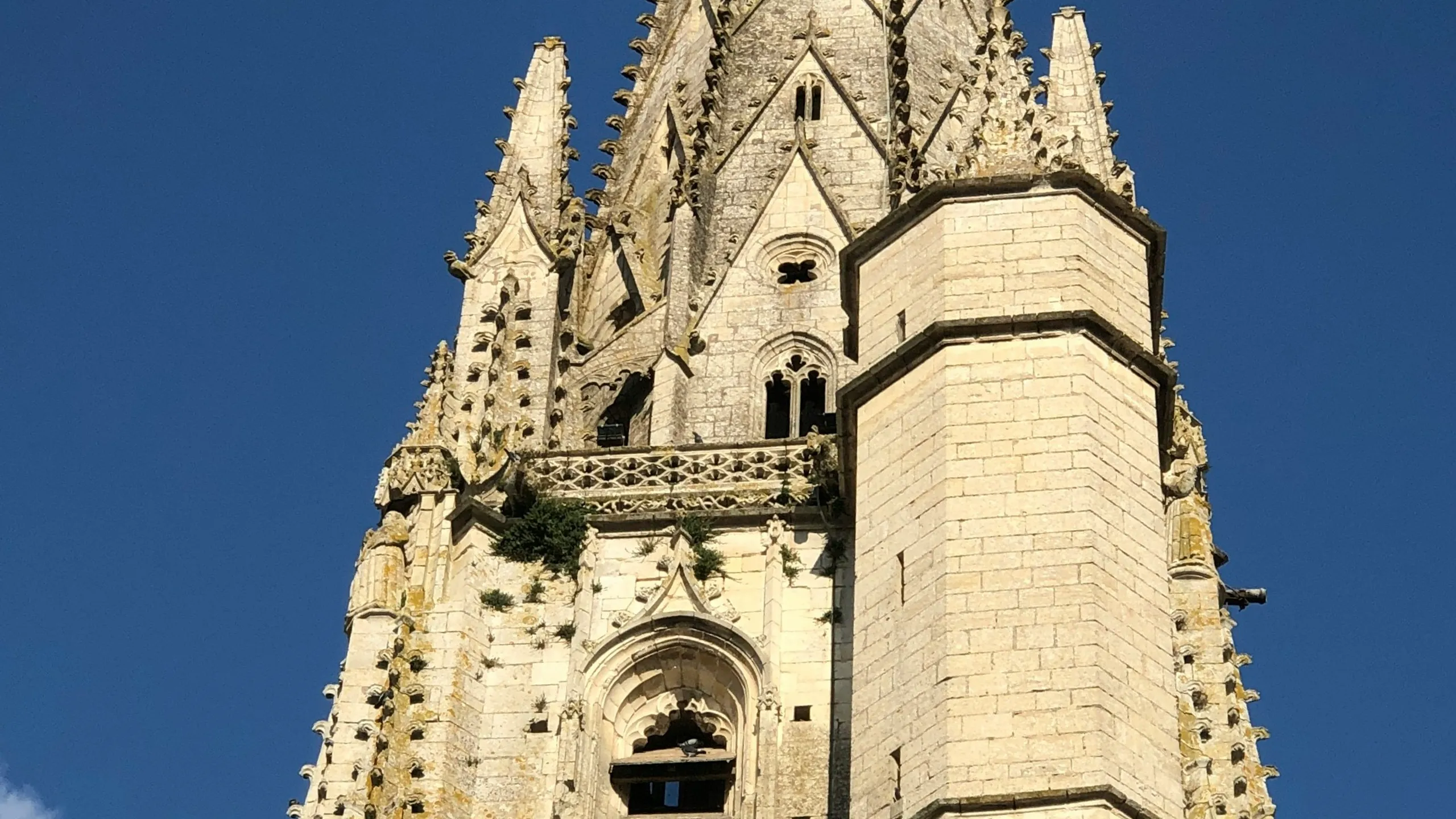 Semi-Marathon de la Coulée Verte