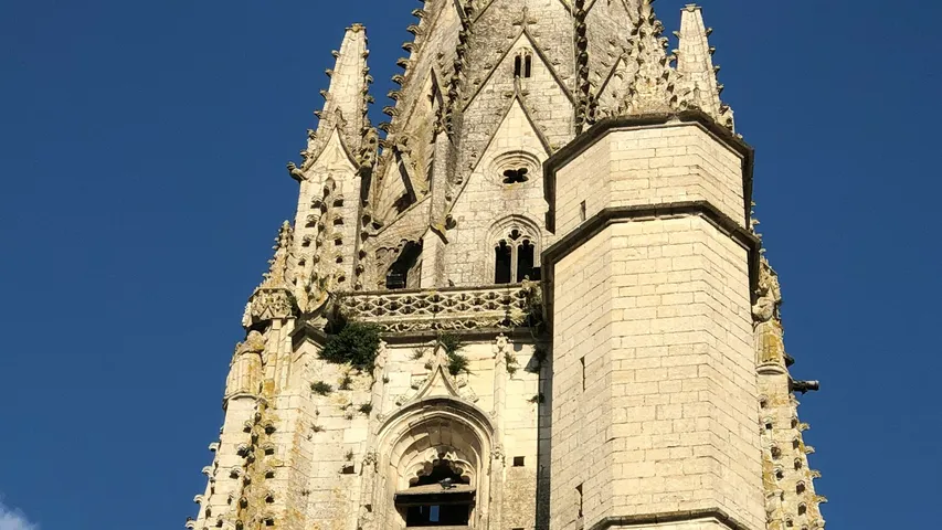 Semi-Marathon de la Coulée Verte