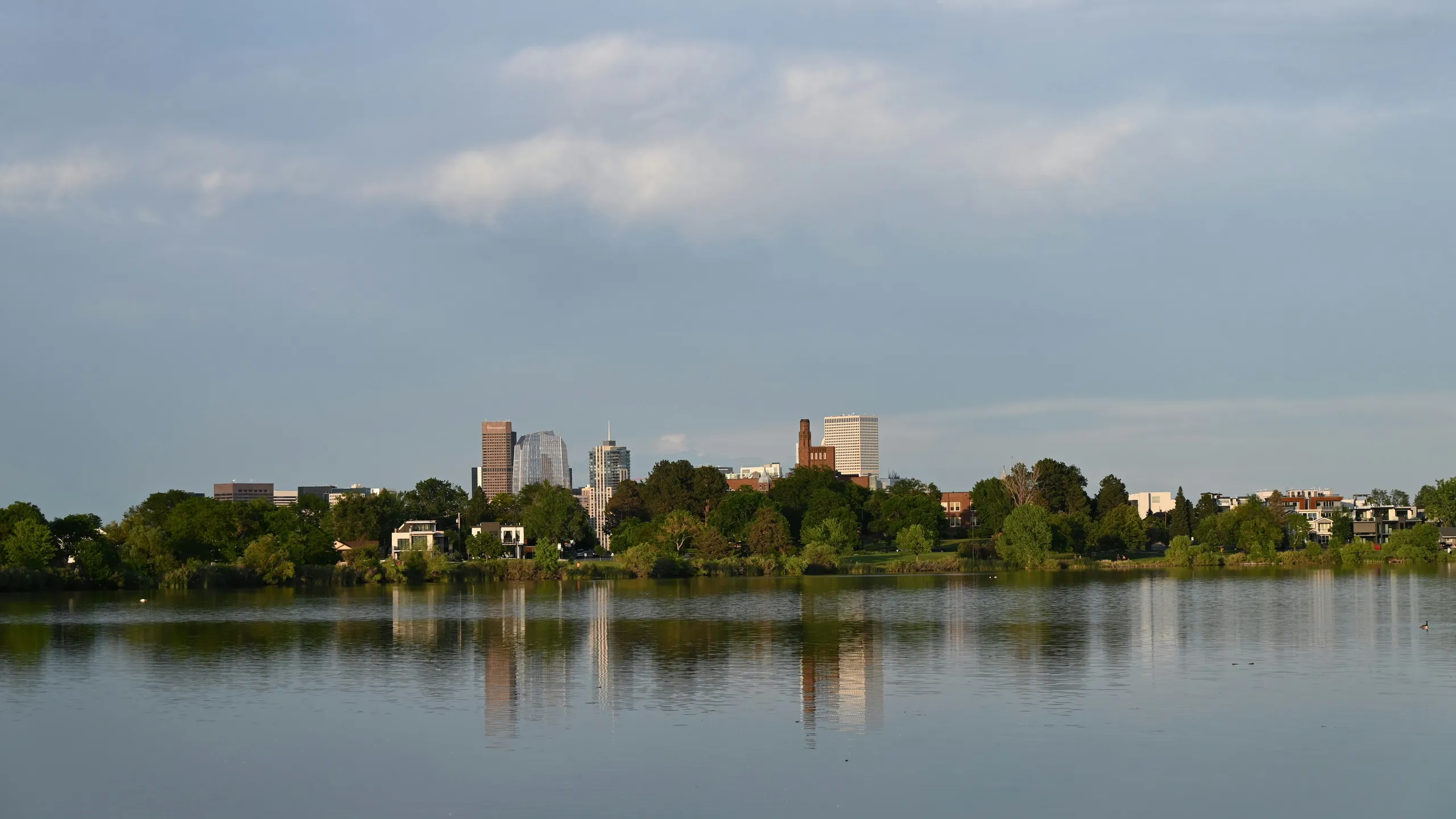 Buffalo YMCA Turkey Trot