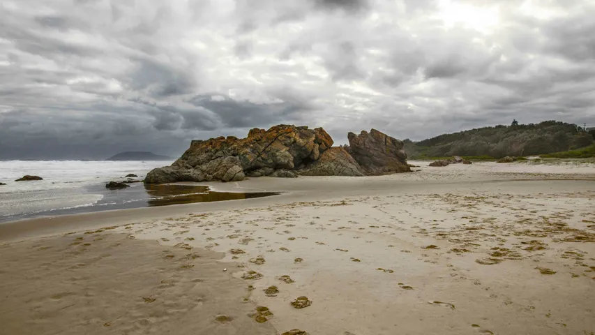 Beach to Brother Running Festival