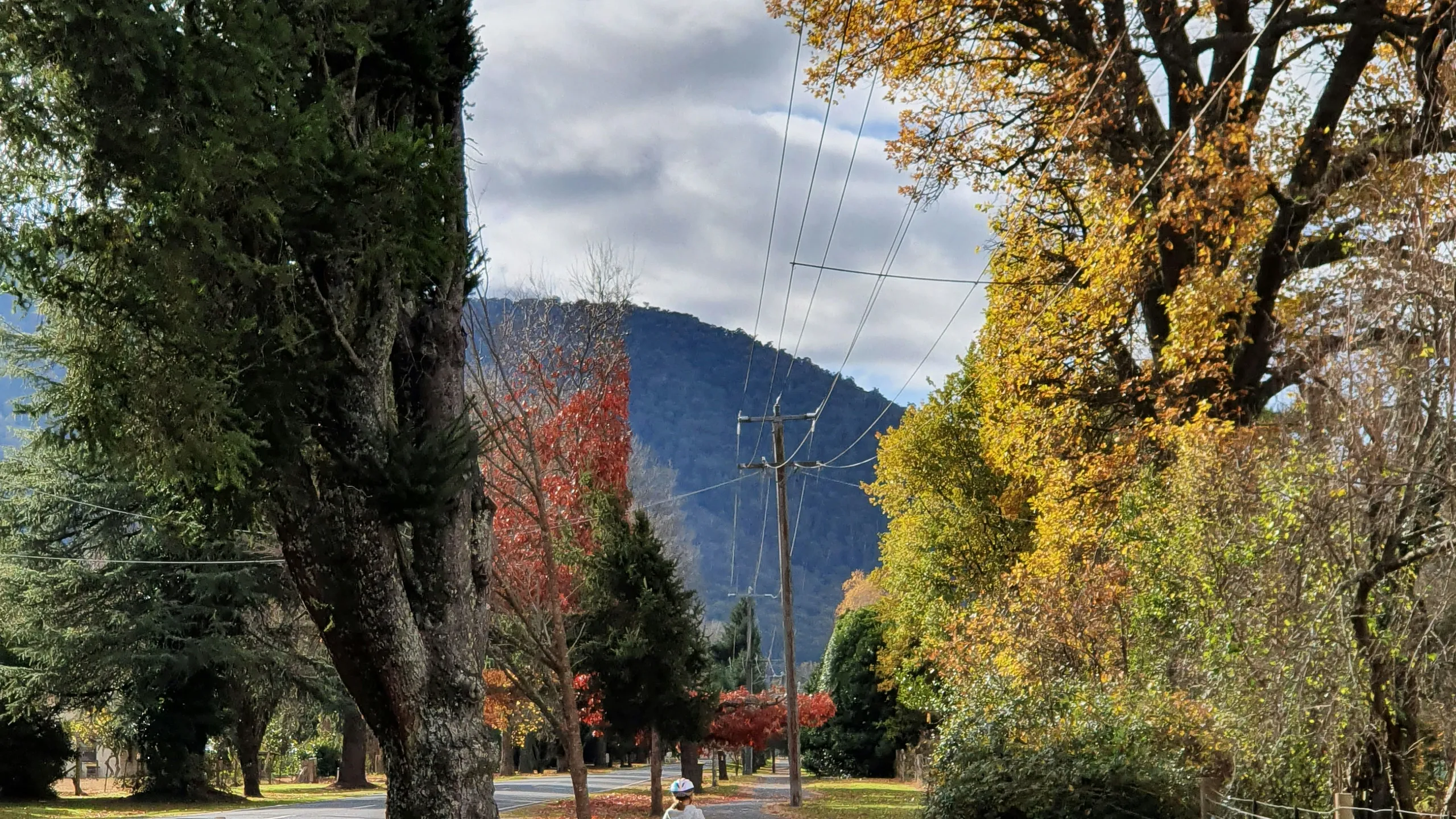 Harrietville Half Marathon 2025