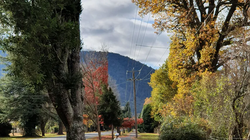 Harrietville Half Marathon 2025
