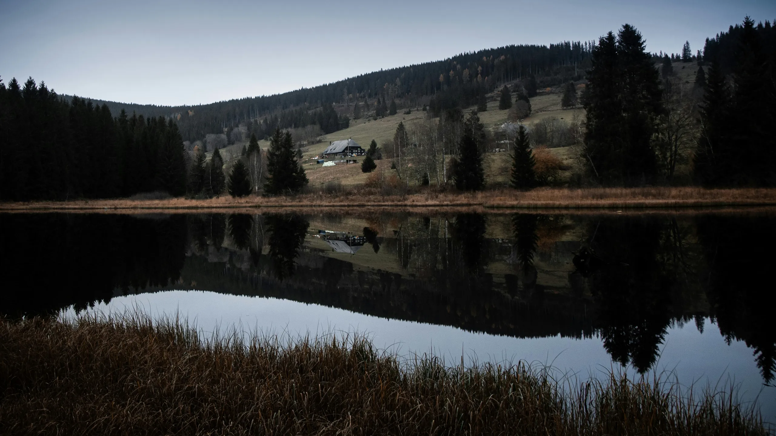 Internationaler Schluchseelauf