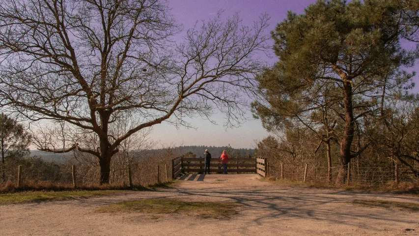 Mizuno Groet uit Schoorl Run