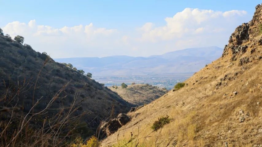 Falcon Crest Winter Trail Challenge
