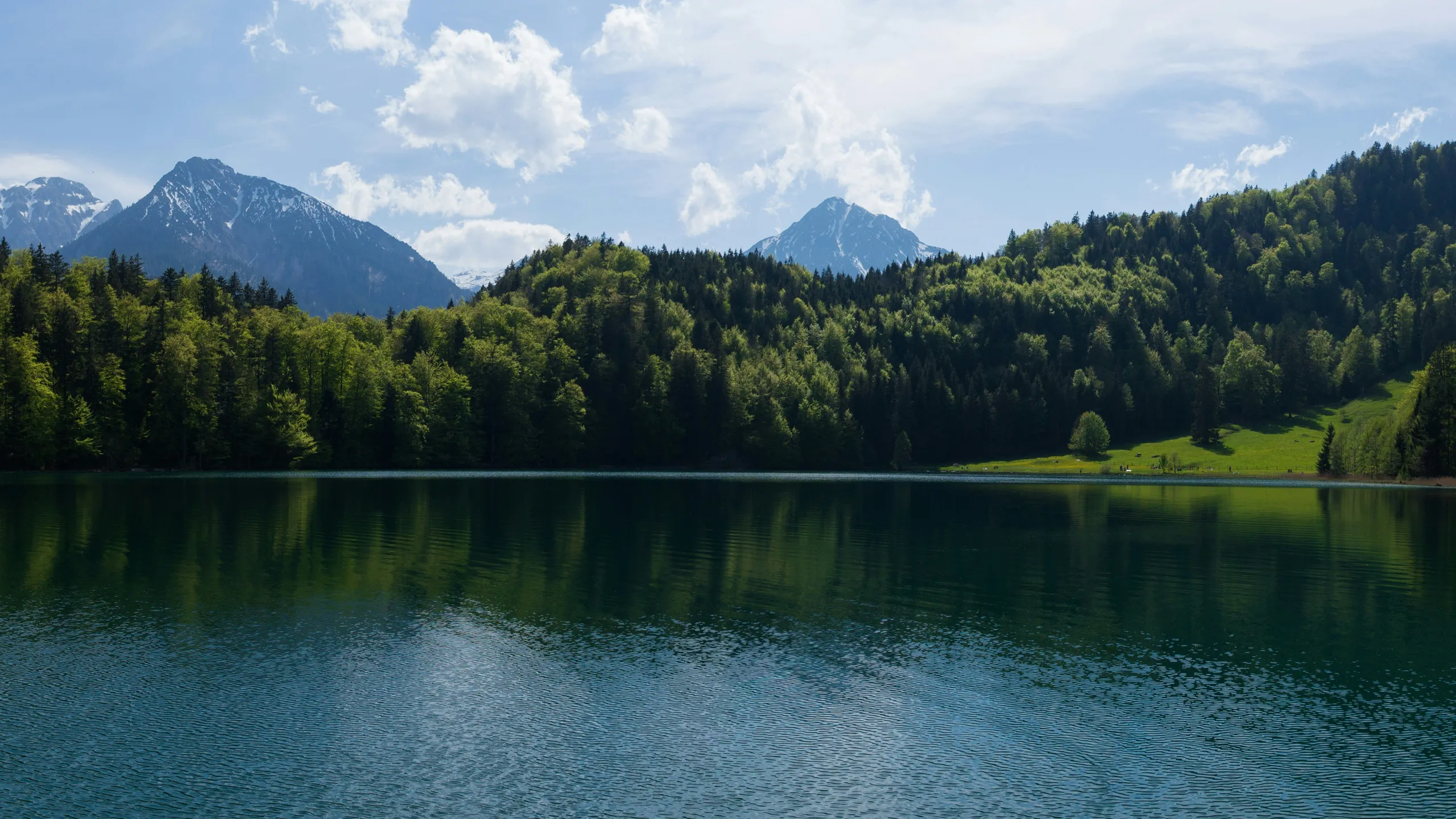 Simssee Halbmarathon