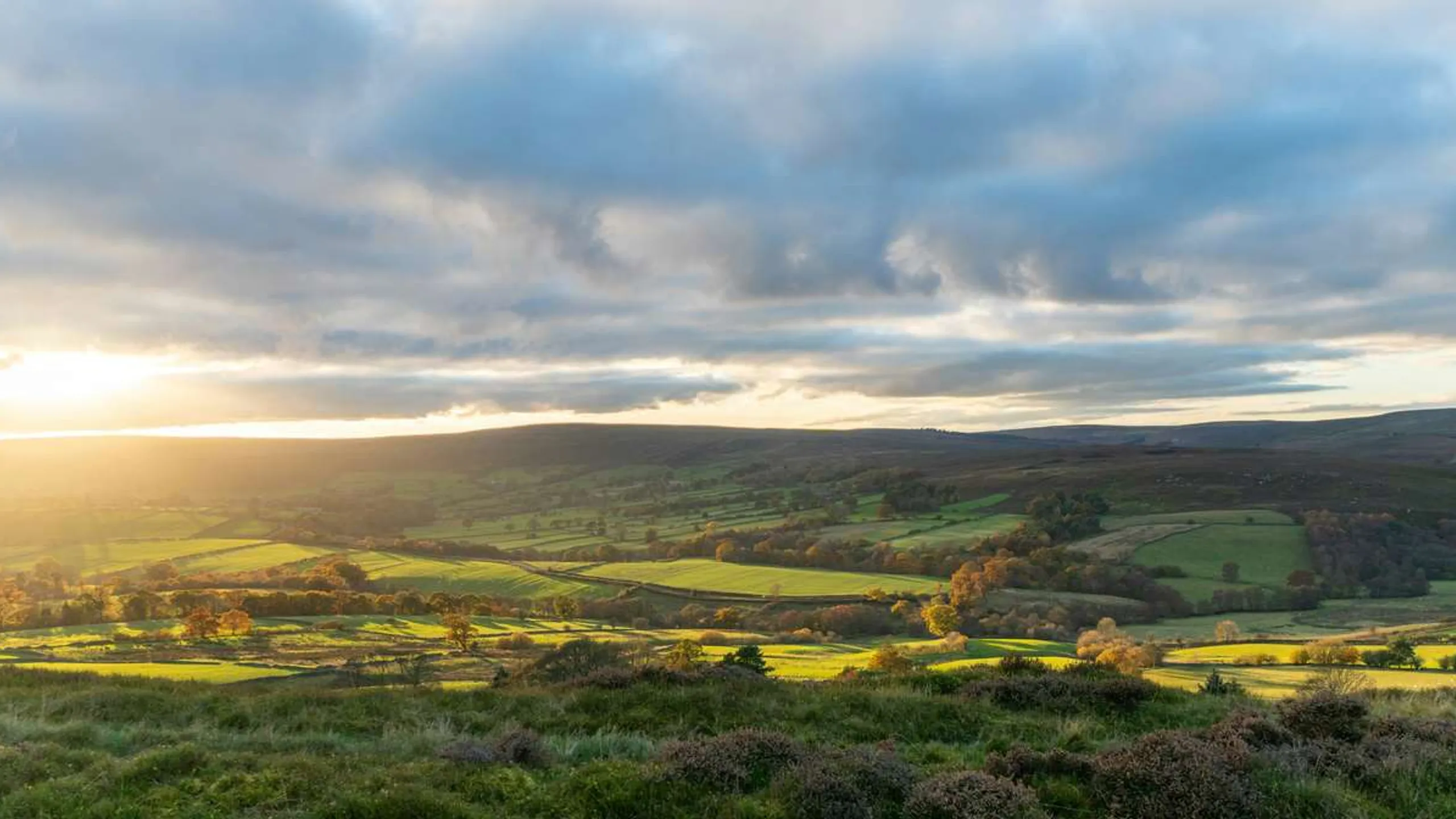 Yorkshire Trail Runs