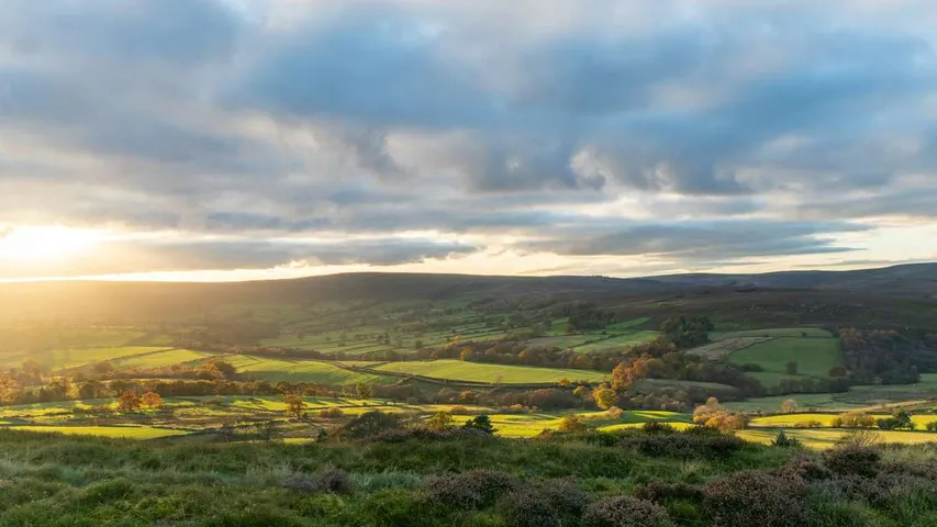 Yorkshire Trail Runs