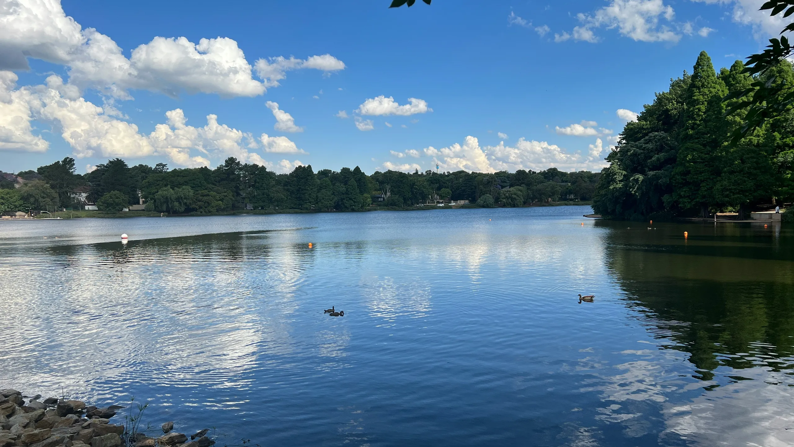 aQuellé Joburg North City Marathon