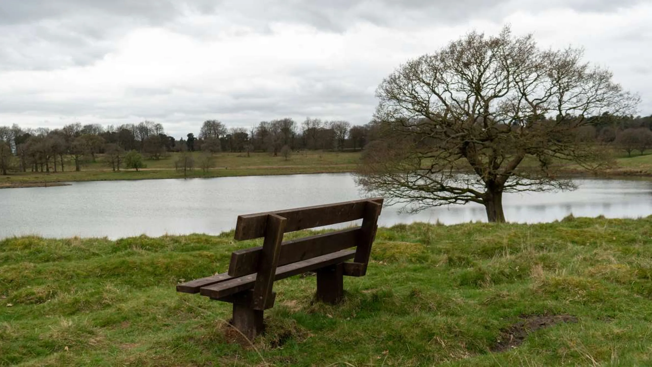 Tatton 5k & 10k December 2025