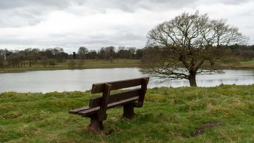 Tatton 5k & 10k December 2025