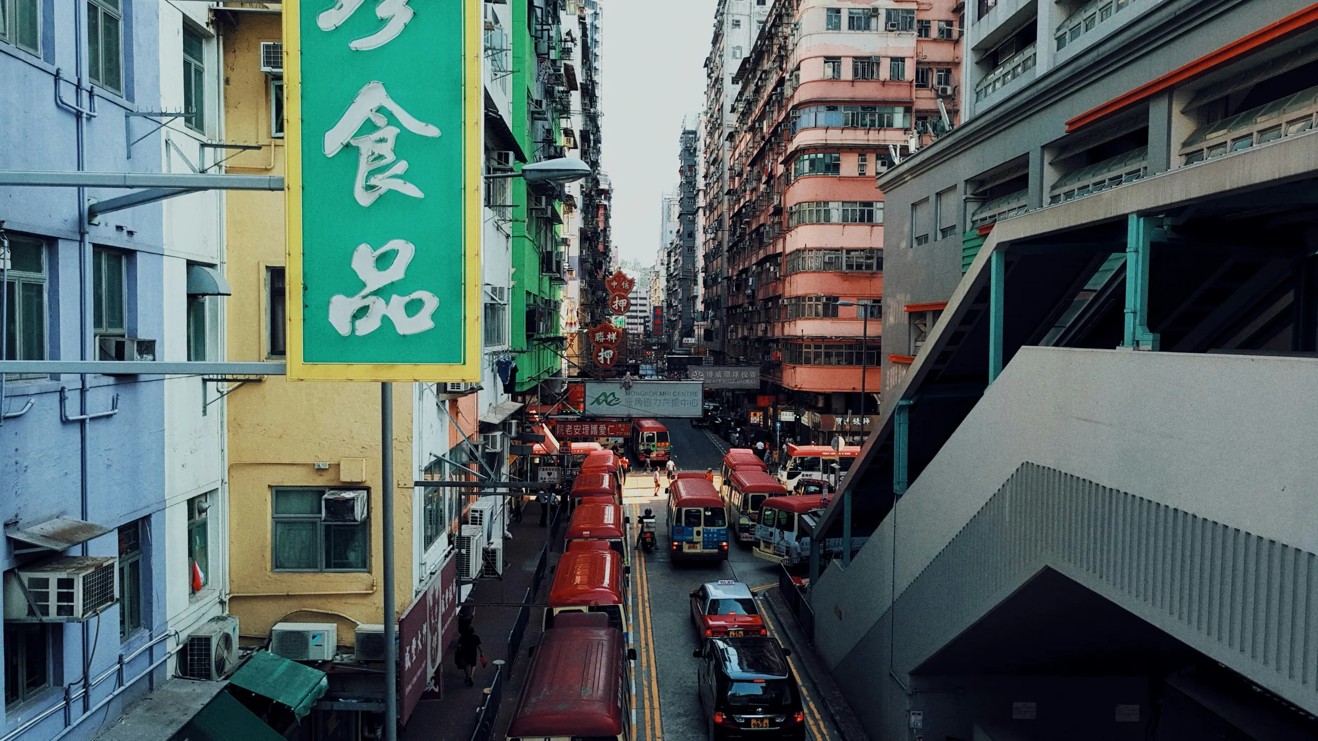 Tai Po Half Marathon 2025