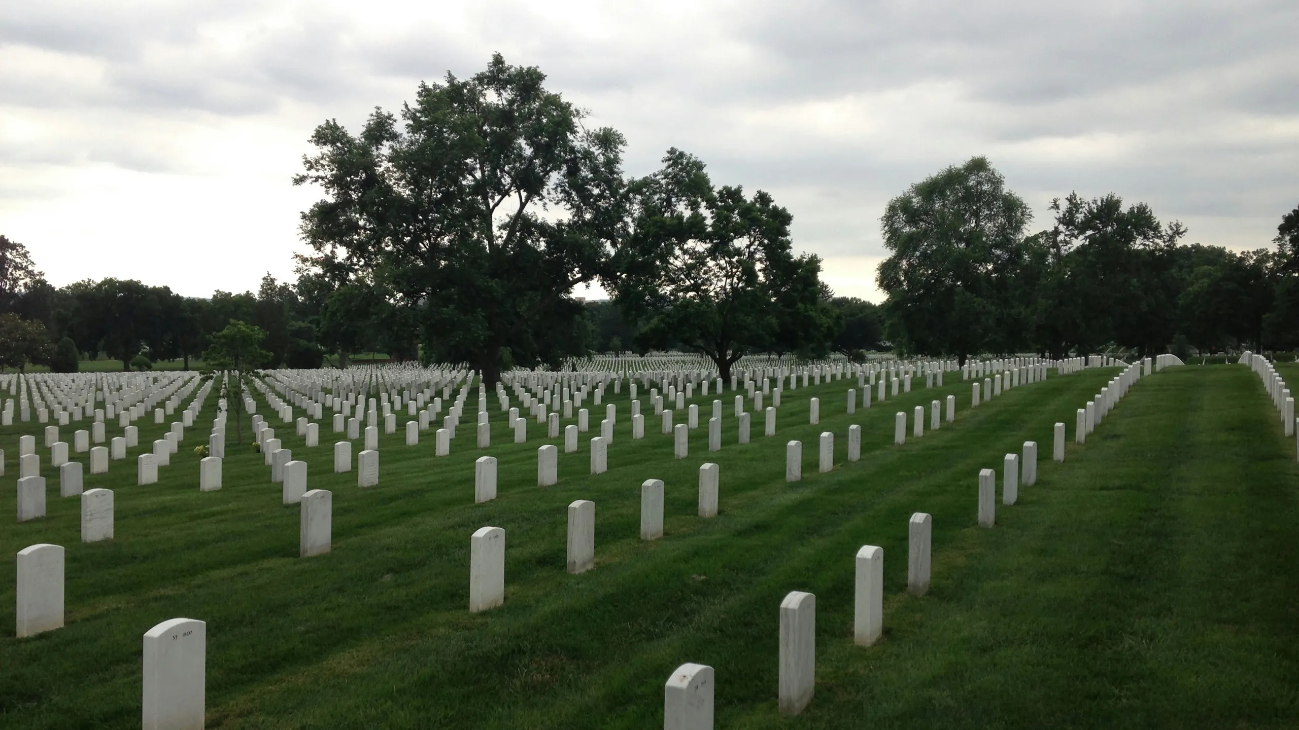 Jingle Bell Run - Metro DC