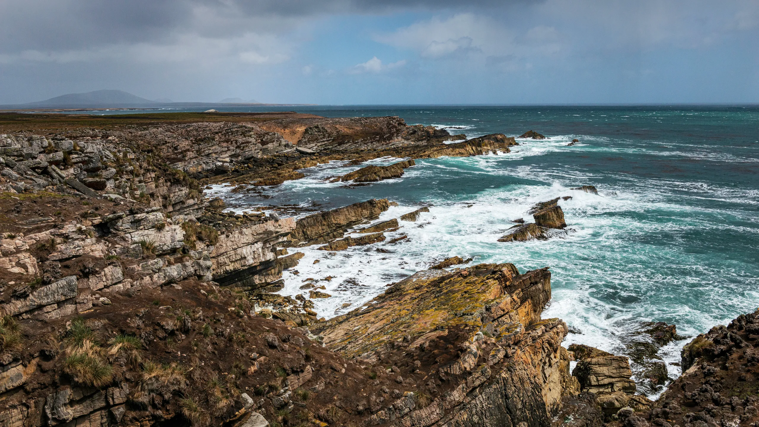 Falklands Backyard Ultra