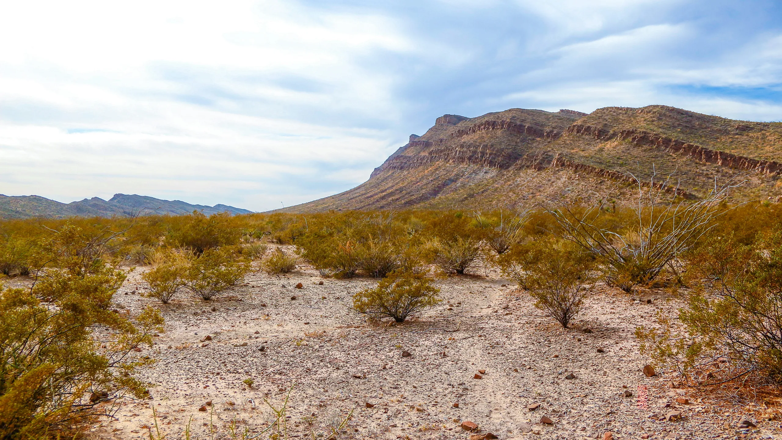 Medio Maratón Monclova