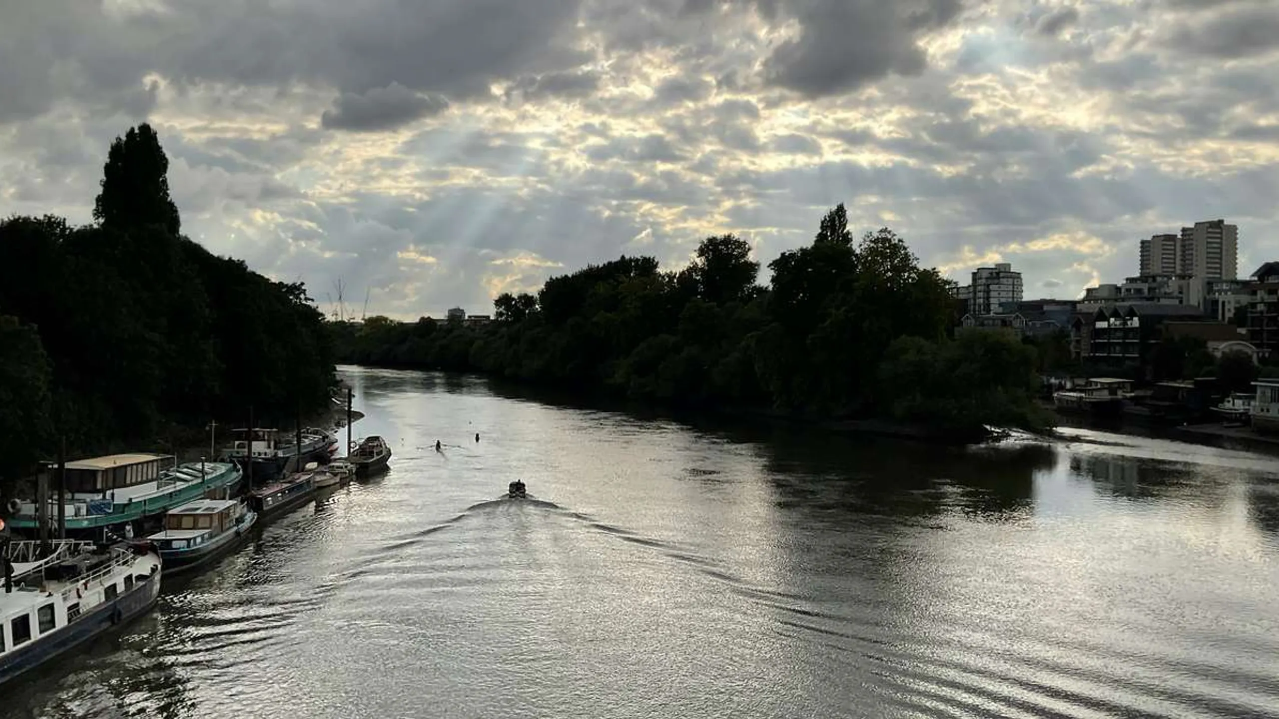 Thames Meander Summer