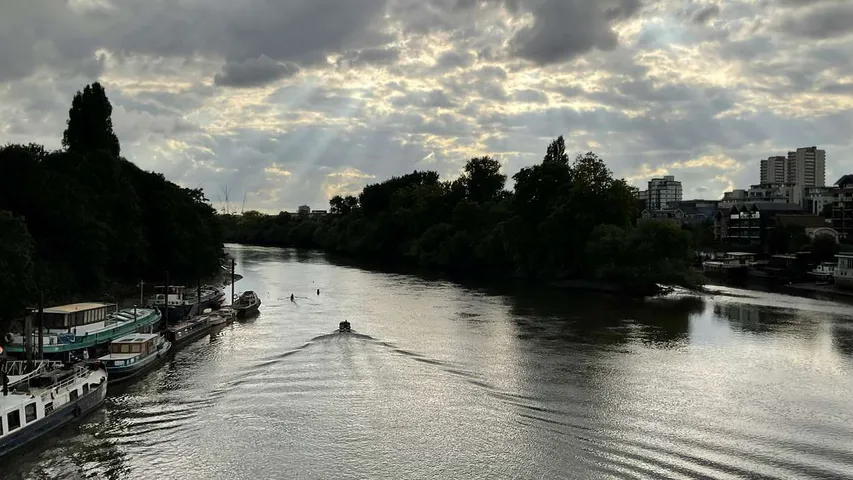Thames Meander Summer