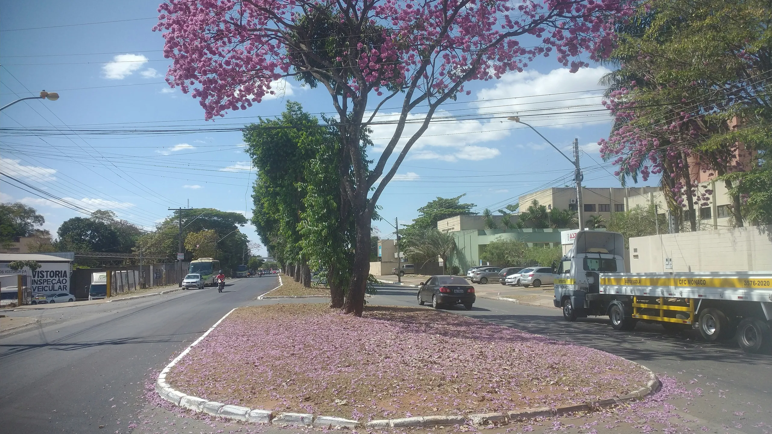 Meia Maratona de Goiânia