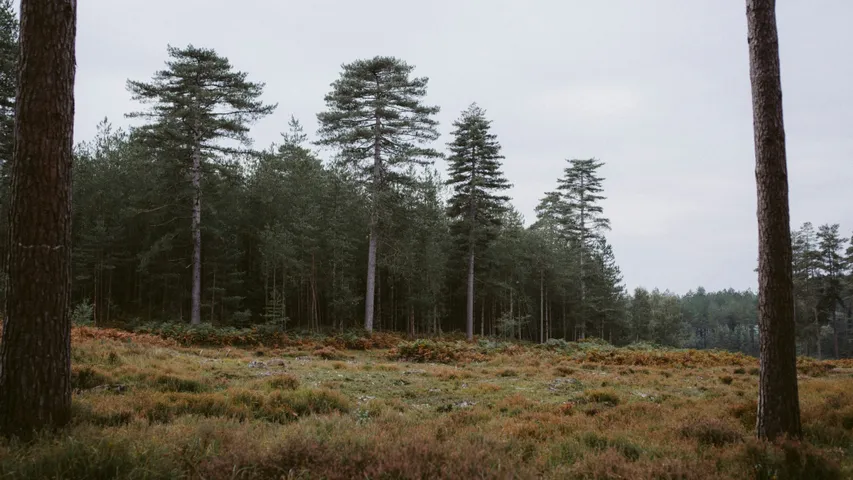 Winter Trail Runs at Dalby