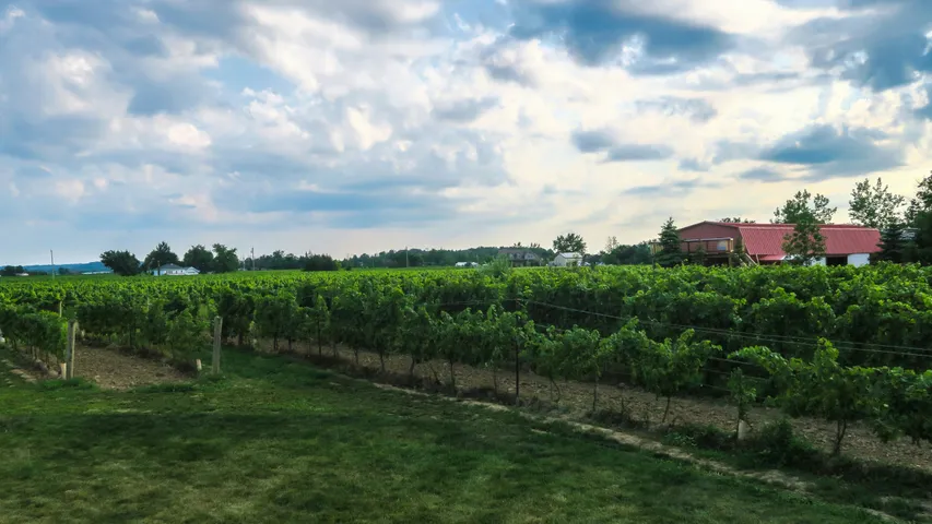 Adams County Winery Haunted Wine Run 5K