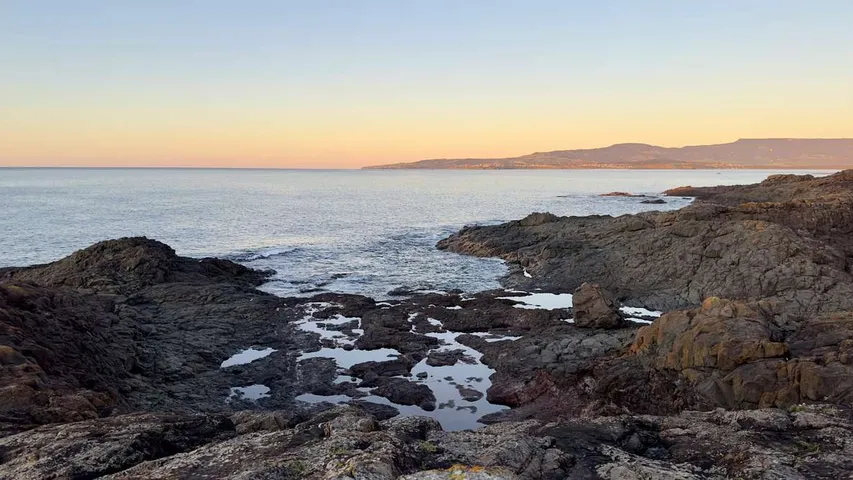 Run Shellharbour