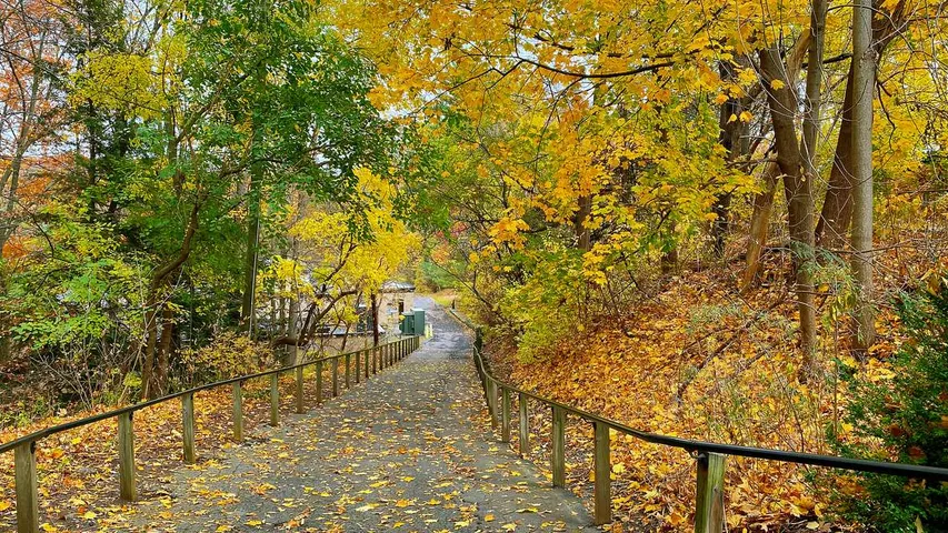 Cayuga Trails